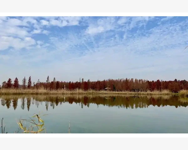 气血不足与怀孕:迎接新生命前的身体准备