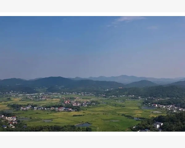 中医传统保健：探秘儿童止咳化痰的神奇粥